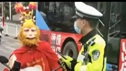 法治中国60分 齐天大圣惊现街头交警：猴哥过来！