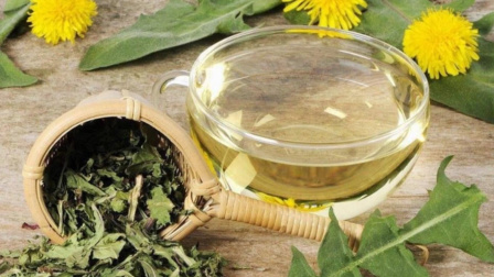 健康之路 蒲公英茶别乱喝 这几类人不适合！