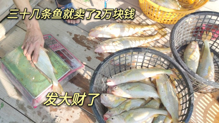 南澳岛赶海日记 渔民出海一天渔获就卖了2万块钱，而且只是30几条鱼而已，太激动了