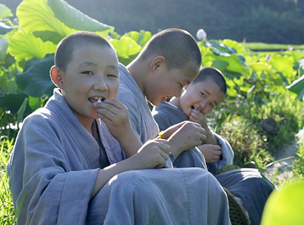 美食台 今日小暑 尝尝千年名寺里的素斋