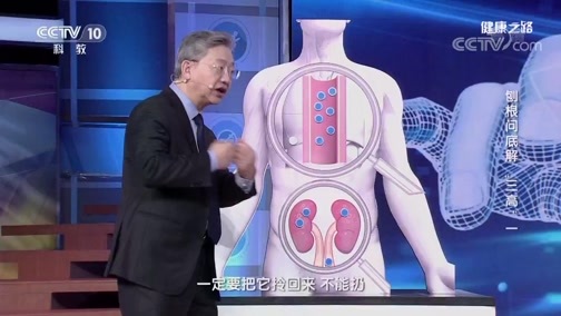 健康之路 《健康之路》 20190428 刨根问底解“三高”（一）