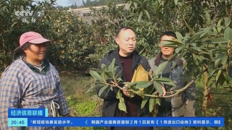经济信息联播 《经济信息联播》 20230201