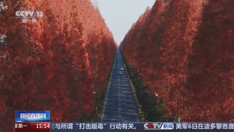 新闻直播间 《新闻直播间》 20251208 15:00