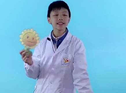 德拉少儿科学实验室 自动感光向日葵
