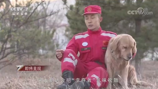 军事纪实 《军事纪实》 20191211 地震搜救犬的上岗考核