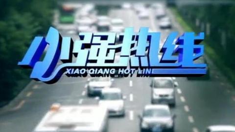 小强热线 小强热线20150301