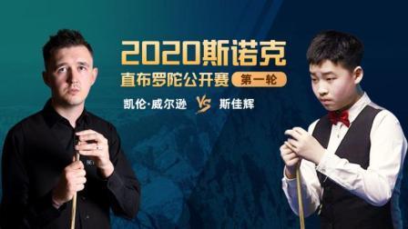 2020斯诺克 凯壬-威尔逊VS斯佳辉