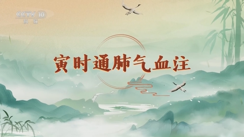 百家讲坛 《百家讲坛》 20260325 延年益寿话养生（第二部）11 寅时通肺气血注