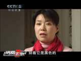 消费主张 扇子情缘