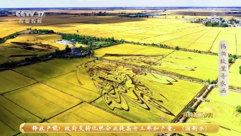 《我的美丽乡村》 20210820 锡伯故里寻农画