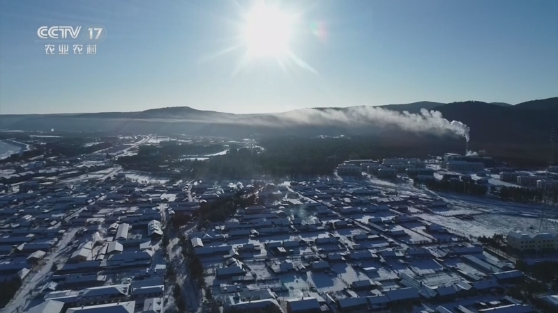 《三农群英汇》 20260118 极北之地的青春力量