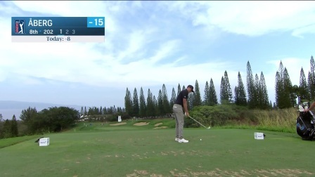 【球员集锦】阿伯格抓鸟运气不佳，果岭推杆纷纷滑洞而过