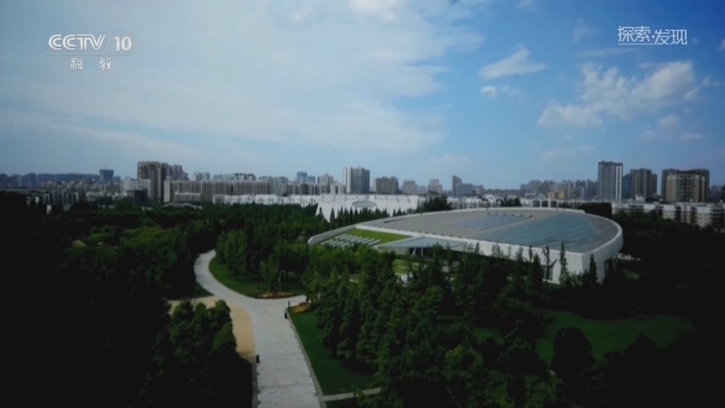 探索发现 《探索·发现》 20260207 《世纪考古大发现》第二季（33）