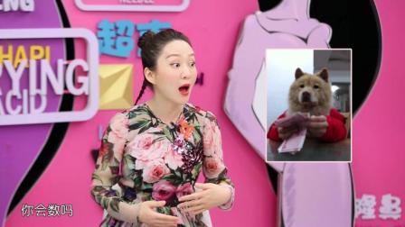 咋整呢呵呵 第二季 人民网说“脱发的人更长寿”？90后表示宁愿浓密到死也不愿秃头活着