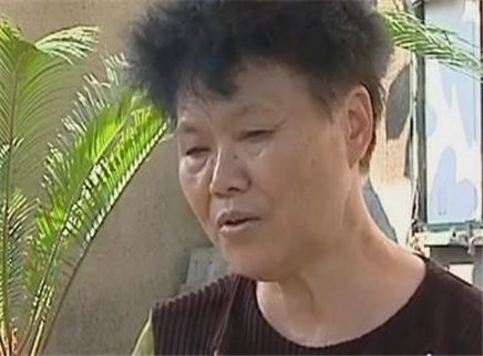 寻情记 巨额原始股票怎能人间蒸发？