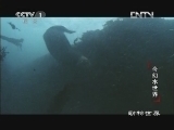 动物世界 《动物世界》 20121020