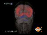 道德观察 道德观察（日播版） 2010年 第270期 抱着儿子上学