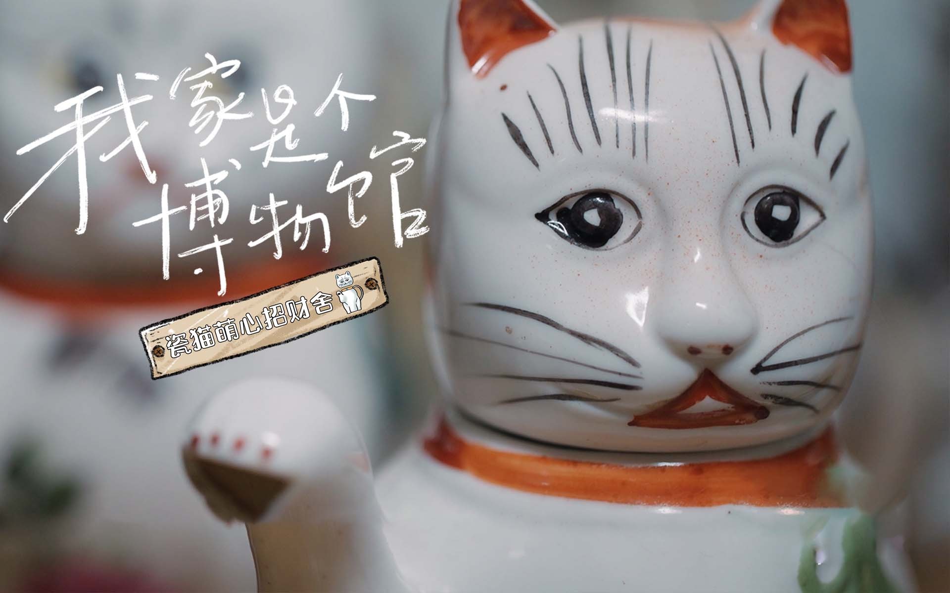我家是个博物馆 瓷猫萌心招财舍