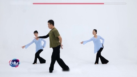 明月星河-孙爱迪（教学分解）