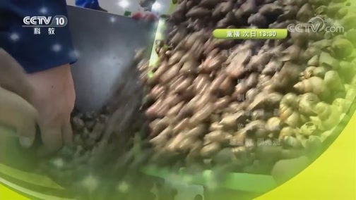 我爱发明 《我爱发明》 20190309 美味再来 4