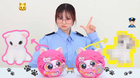 紧急通知！萌晕嫌犯竟是小猫？猫爪上的秘密