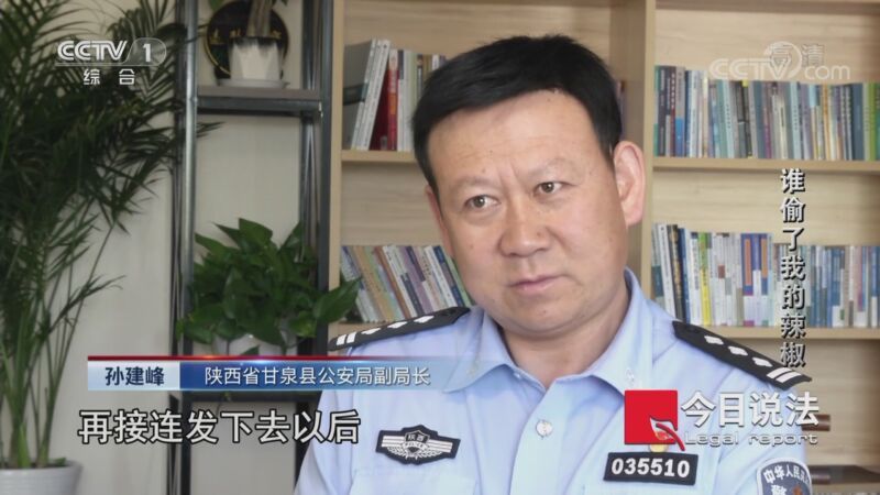 今日说法 《今日说法》 20201107 谁偷了我的辣椒
