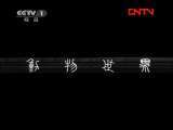 动物世界 《动物世界》 20111118