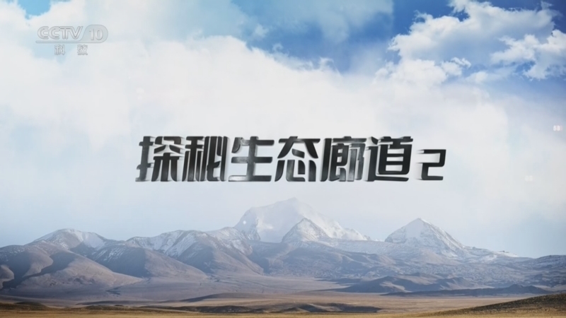 地理中国 《地理·中国》 20260519 探秘生态廊道2