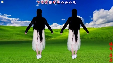 动感时尚广场舞 最新情歌《爱情赌局》男女对唱版，命中注定爱上你