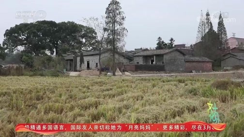 文化十分 《文化十分》 20200306