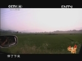 远方的家 特别节目 歌声嘹亮《远方的家》 20130412