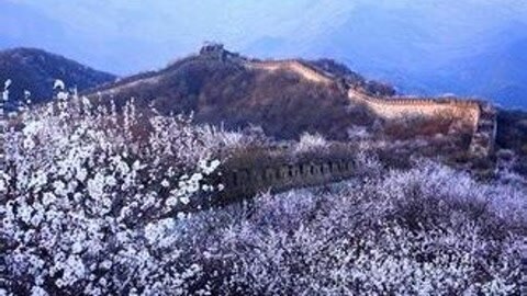 四海漫游 挡不住的春天