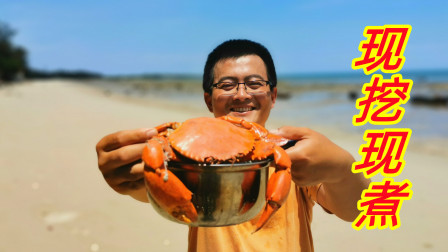 红树林边赶海抓到锅一样大的螃蟹，架上锅直接炖了，实在鲜美