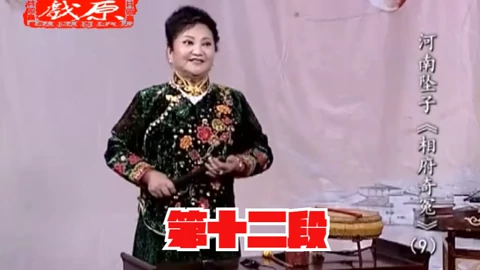 河南坠子《相府奇冤》