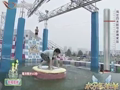 欢乐喜洋洋 《欢乐喜洋洋》20111024：喜洋洋母子来闯关