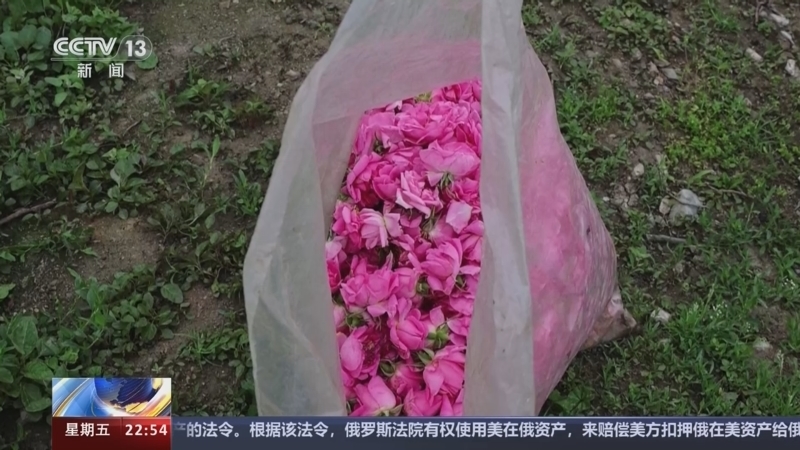 国际时讯 《国际时讯》 20240524