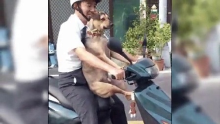 民间牛人 逆天牛人大集结 与死神擦肩而过 110