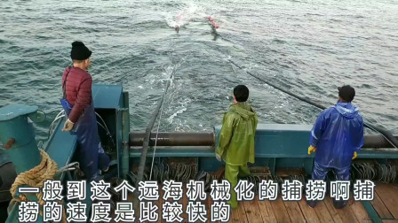 南澳岛赶海日记 彪哥出外海捕鱼，这次目标是鱿鱼跟海兔，一网就有几百斤的货色