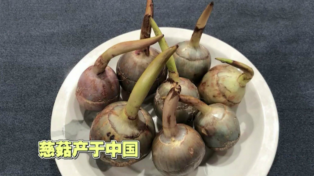 X诊所. 揭秘水中仙品的健康秘密