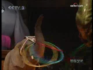 国际艺苑 欢乐秀场 动物狂欢节 2008-10-04