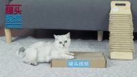 举起爪儿来 居家小物秒变猫抓板 12