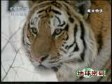 地球密码（周末精编节目） 周末精编节目 2010年 第212期 2010-07-17 1-2