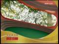 动漫世界 动漫世界 2009年 第173期