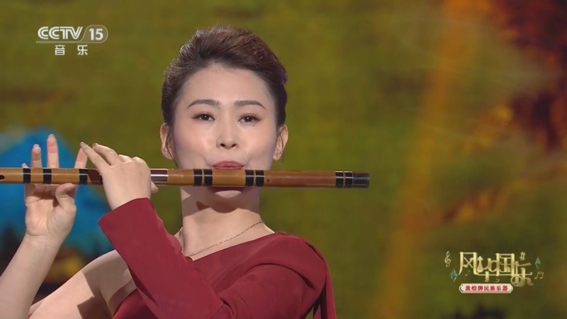 风华国乐 《风华国乐》 20240801