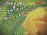 第1动画乐园 《第1动画乐园（下午版）》 20120316 18：30