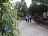 天网 《天网》 20161208 盗无道