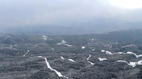 DV现场20210128