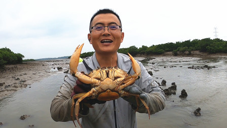 赶海抓到1斤多的大膏蟹，还意外抓了个罕见货，几十年头一次见