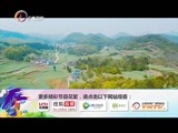你是我的旅伴 《你是我的旅伴》 20160512