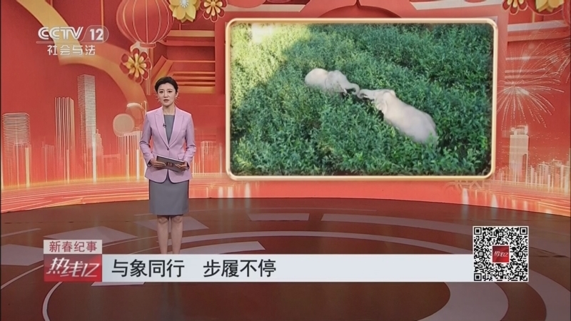 《热线12》 20260224